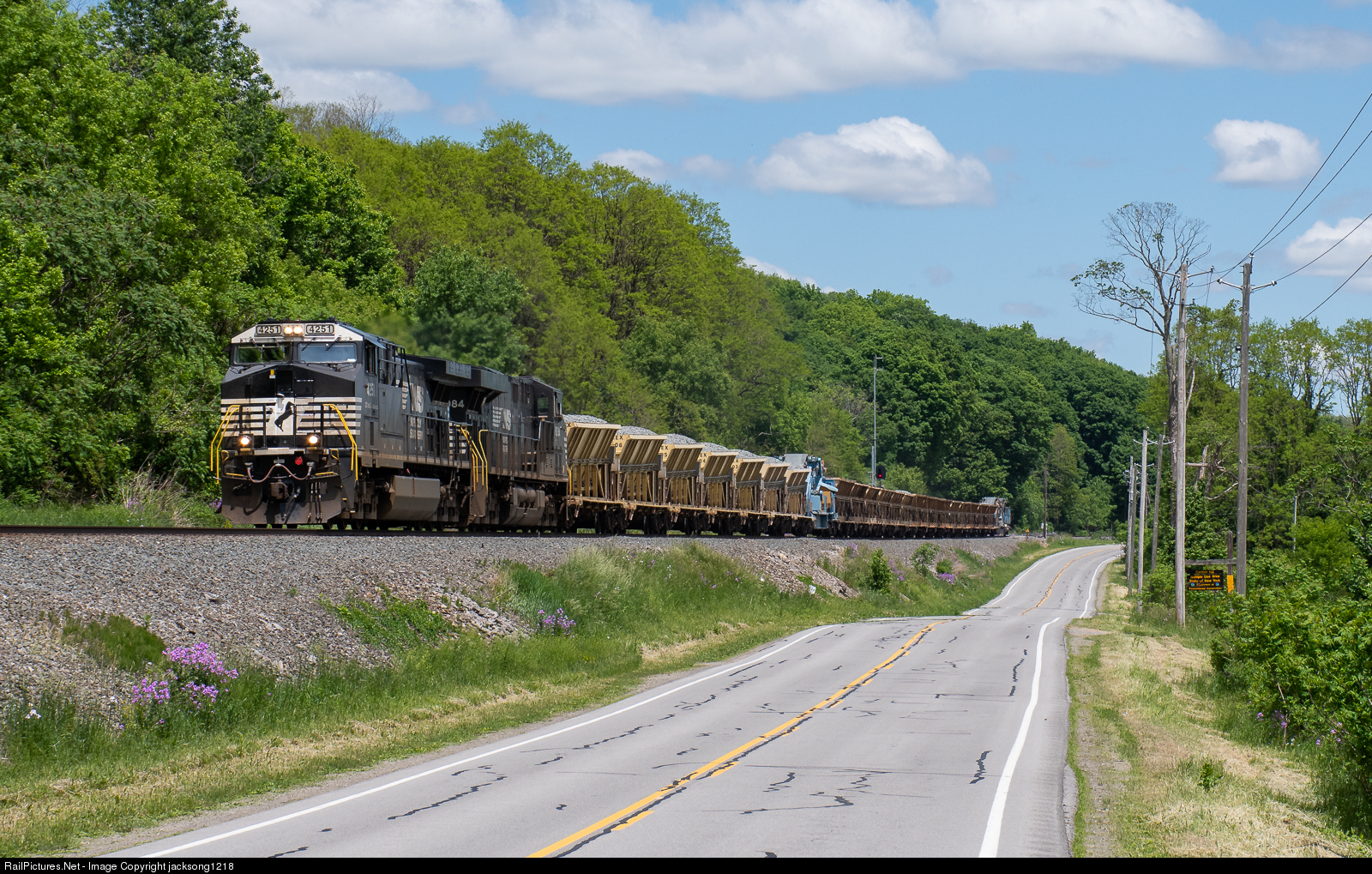 Photo: NS 4251 Norfolk Southern GE AC44C6M at Dale, New  York by jacksong1218