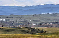 Click Here to see the photo!