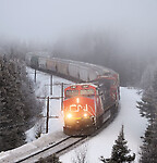 Click Here to see the photo!