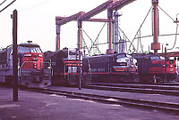 Click Here to see the photo!