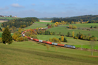 Click Here to see the photo!