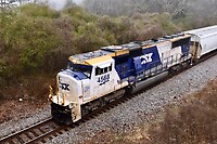 Click Here to see the photo!