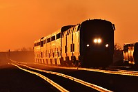 Click Here to see the photo!