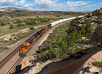 Click Here to see the photo!