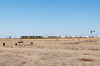 Click Here to see the photo!