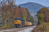 Click Here to see the photo!