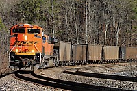 Click Here to see the photo!