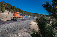 Click Here to see the photo!