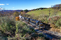 Click Here to see the photo!