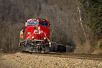 Click Here to see the photo!