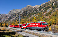 Click Here to see the photo!