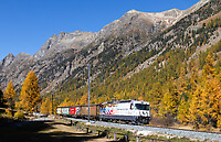 Click Here to see the photo!