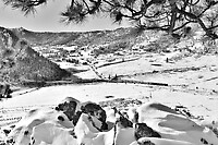 Click Here to see the photo!