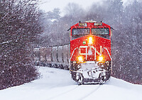 Click Here to see the photo!