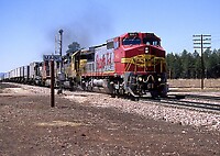 Click Here to see the photo!