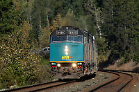 Click Here to see the photo!