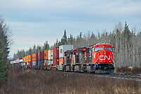 Click Here to see the photo!