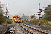 Click Here to see the photo!