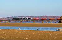 Click Here to see the photo!