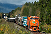 Click Here to see the photo!