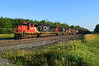 Click Here to see the photo!