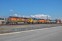 Click Here to see the photo!