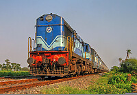 Click Here to see the photo!