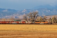 Click Here to see the photo!