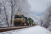 Click Here to see the photo!