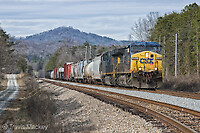 Click Here to see the photo!