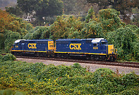 Click Here to see the photo!