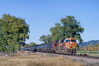 Click Here to see the photo!