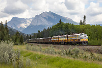 Click Here to see the photo!