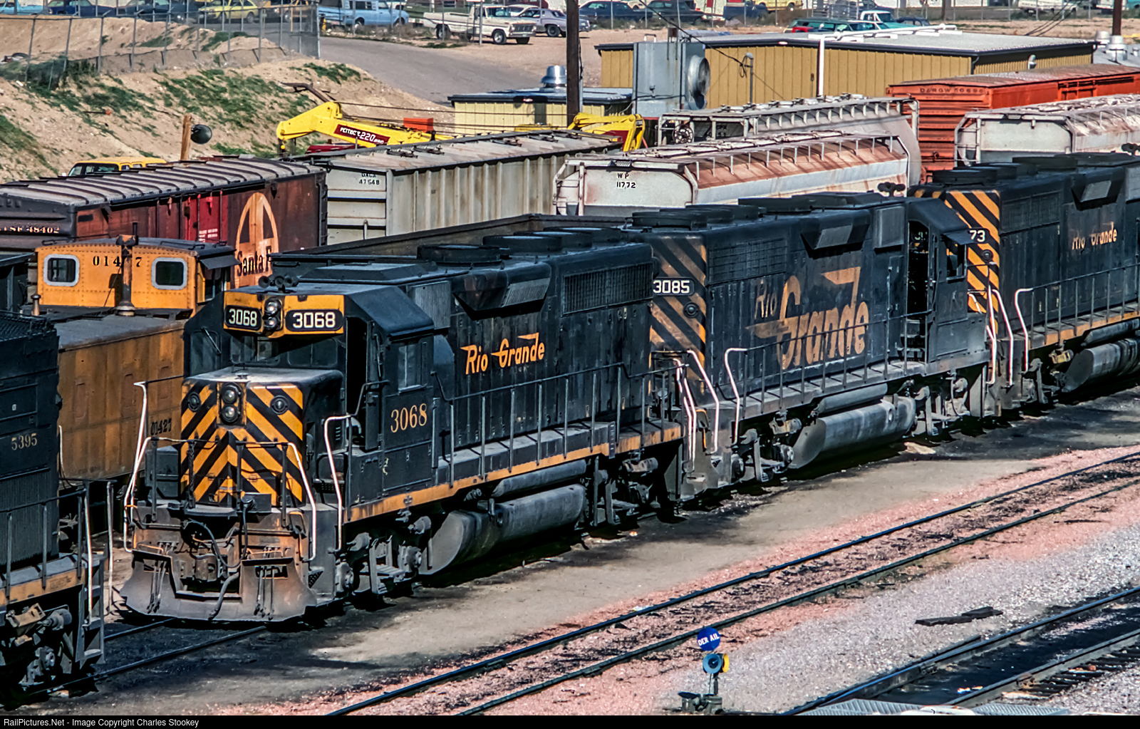 1509-1672982609-jpg