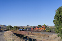 Click Here to see the photo!