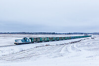 Click Here to see the photo!