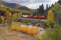 Click Here to see the photo!