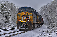 Click Here to see the photo!