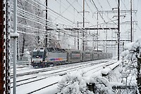 Click Here to see the photo!