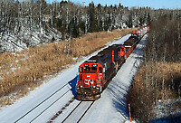 Click Here to see the photo!