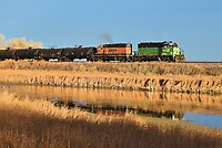 Click Here to see the photo!