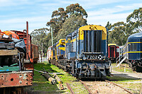 Click Here to see the photo!