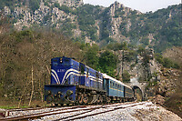 Click Here to see the photo!