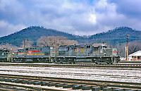 Click Here to see the photo!