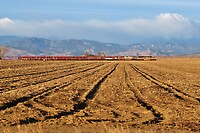 Click Here to see the photo!