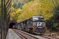 Click Here to see the photo!