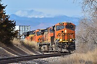 Click Here to see the photo!