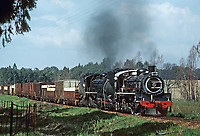 Click Here to see the photo!