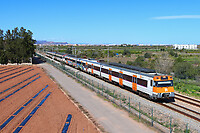 Click Here to see the photo!