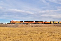 Click Here to see the photo!